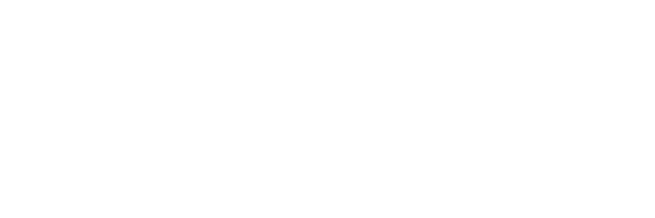 Logo Aramis