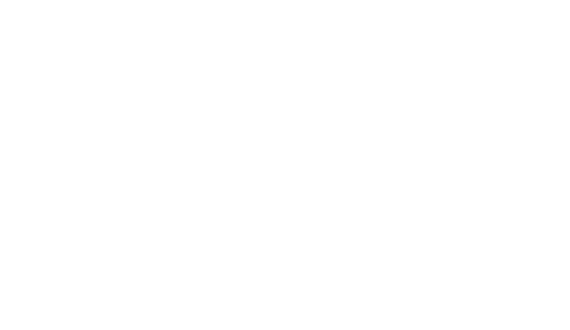 Logo Havan