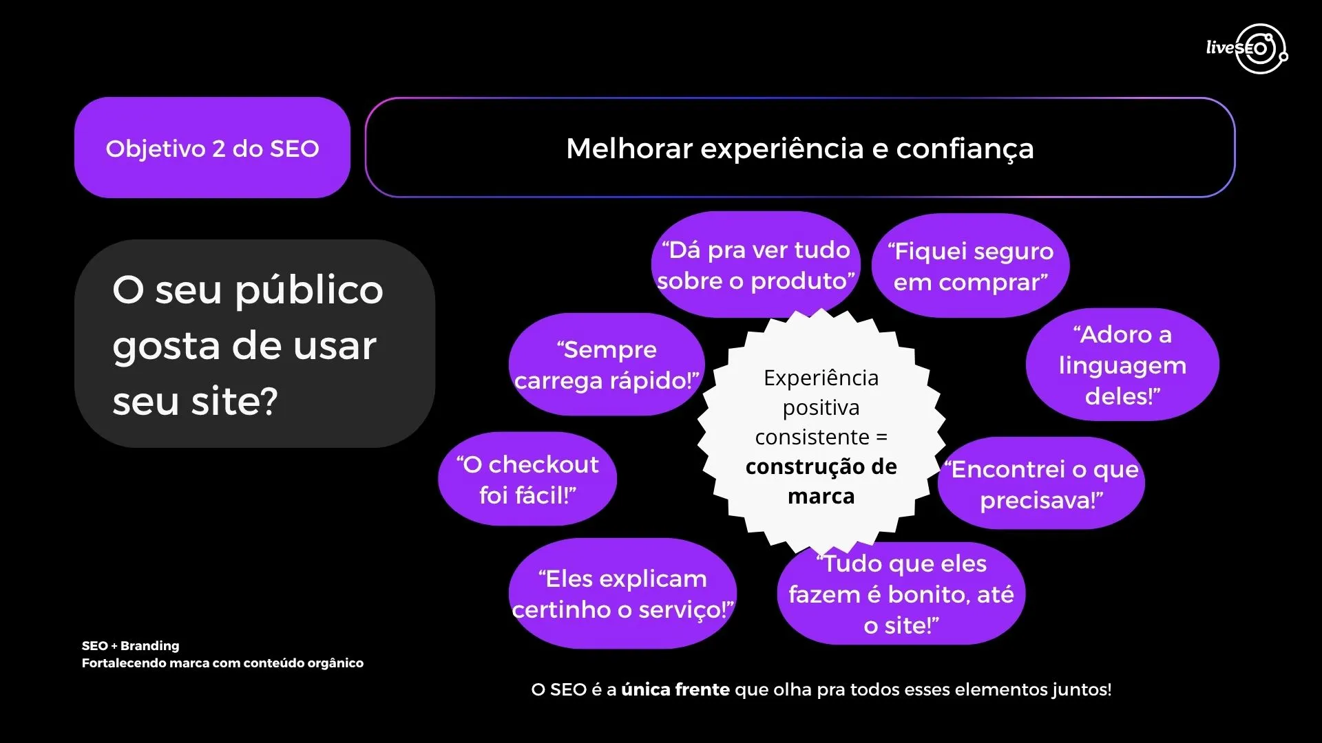 objetivo 2 do seo