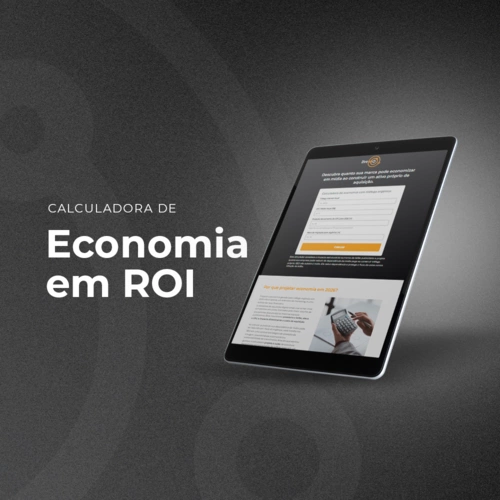 economia roi